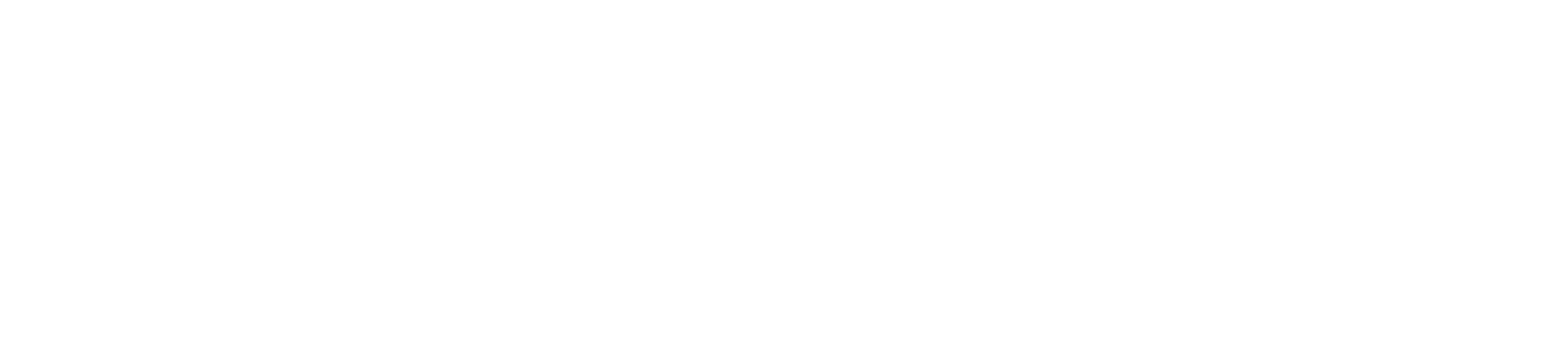 internet-assist-logo-white